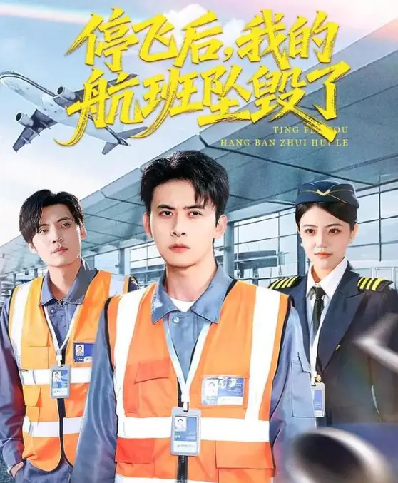 《停飞后，我的航班坠毁了》全100集免费无广告-未删减4K全集完整版-在线观看2026【1080p中字】《停飞后，我的航班坠毁了》高清网盘下载