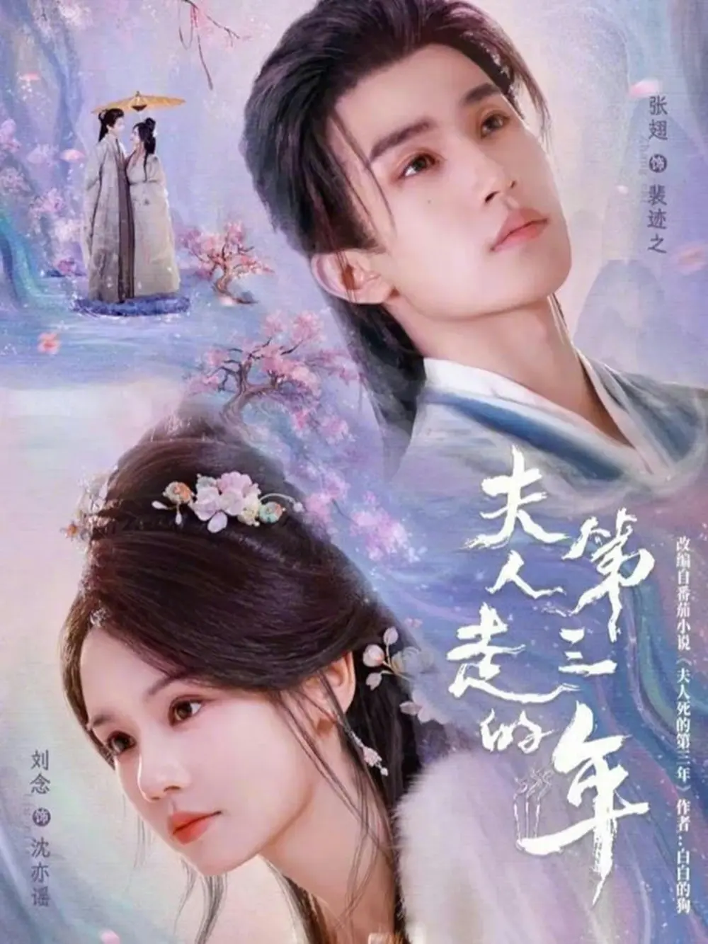 《夫人走的第三年》相关资源图片