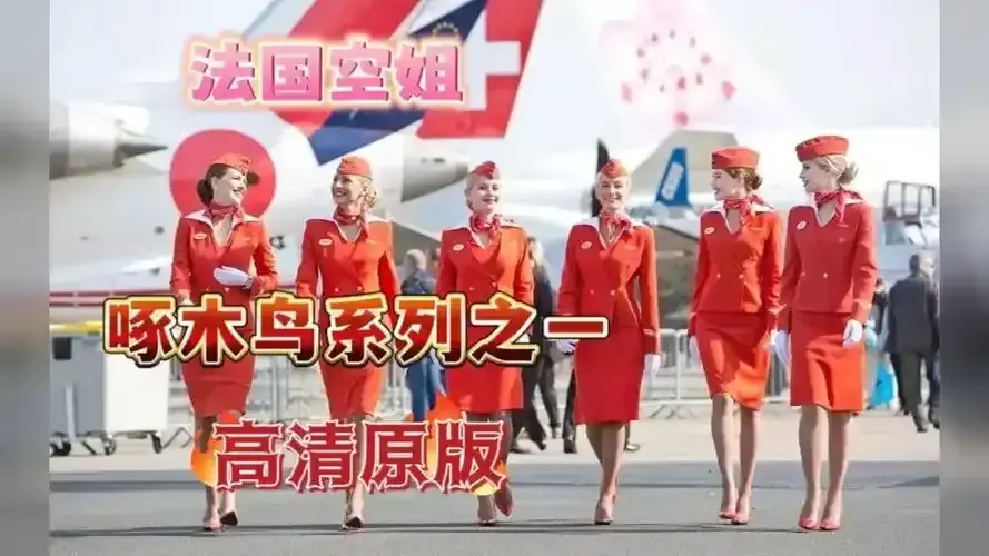 2024必看《法国空姐》原版无删国语配音来袭 - 法国空姐电影正片全收录，高清流畅不卡顿