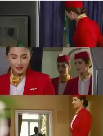免费看《法国空姐2》，1080P高清画质无删减，法国剧情高分电影在线播放-蜜桃影院