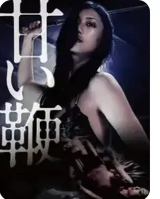 《甜蜜皮鞭》