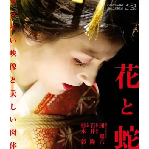 全网首发！日本电影《花与蛇》1080P高清无广告-日本剧情片《花与蛇》国语无删减在线看-《花与蛇》星辰影院+夸克网盘资源