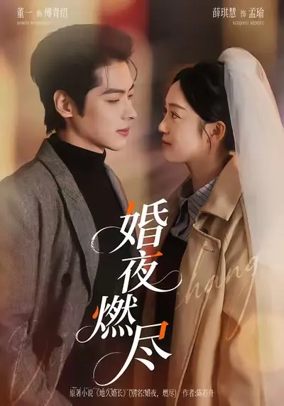 《婚夜，燃尽》4K超清【1080p中字】百度云夸克网盘资源下载-颜值顶配