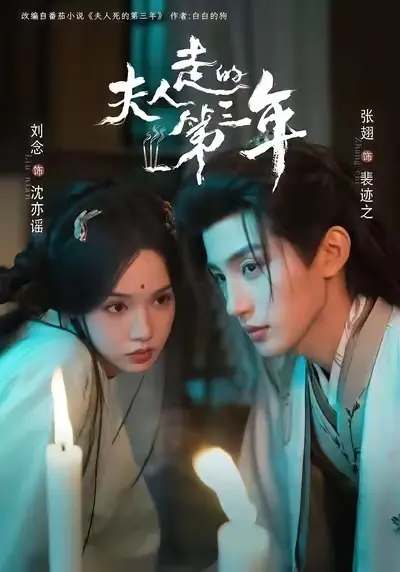 爆款短剧《夫人走的第三年》全集无删减免费播放高清-《夫人走的第三年》未删减完整版免费看网盘资源不卡顿红果短剧