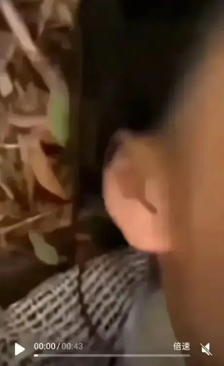 《女轻奢事件》热度飙升！校园轻奢男孩双人大战视频全过程，超清蓝光免费在线看，持续有效！