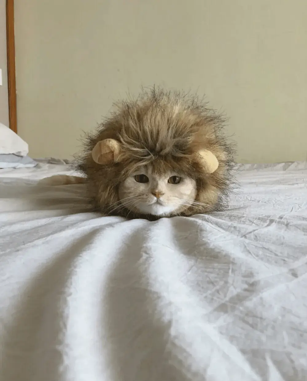 《哈哈哈哈哈》第六季全网同步更新-国产综艺哈哈哈哈哈第六季免费观看-全季HD高清完整版地址